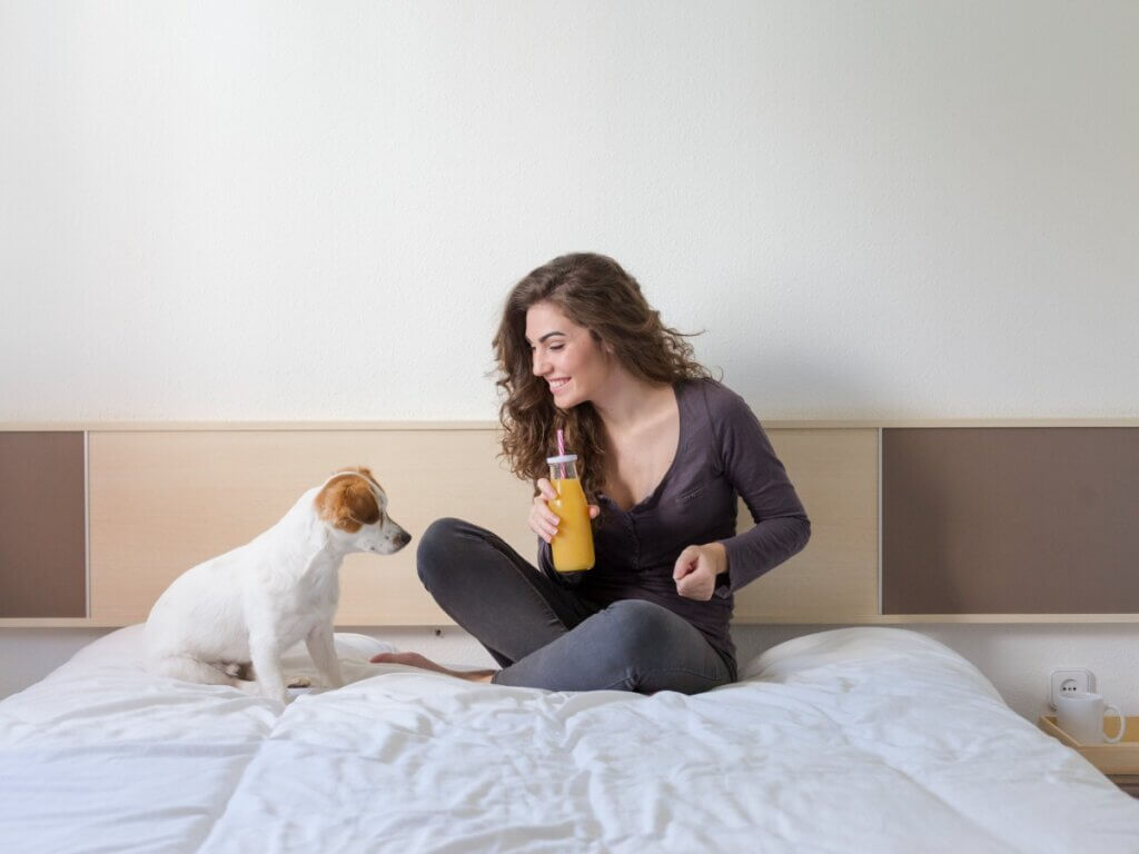 Os cães podem comer mamão?