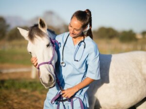 O que é a influenza equina?