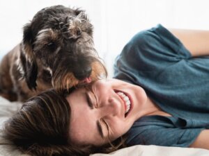 As 11 raças de cães mais carinhosas
