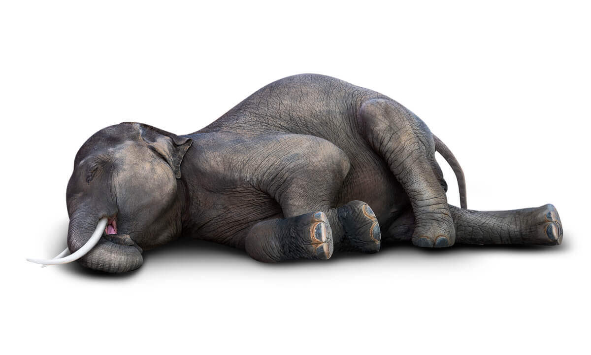 Um desenho de elefantes mortos.