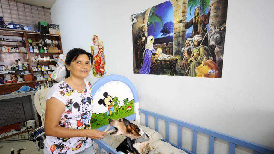 MUlher cuida de cães deficientes