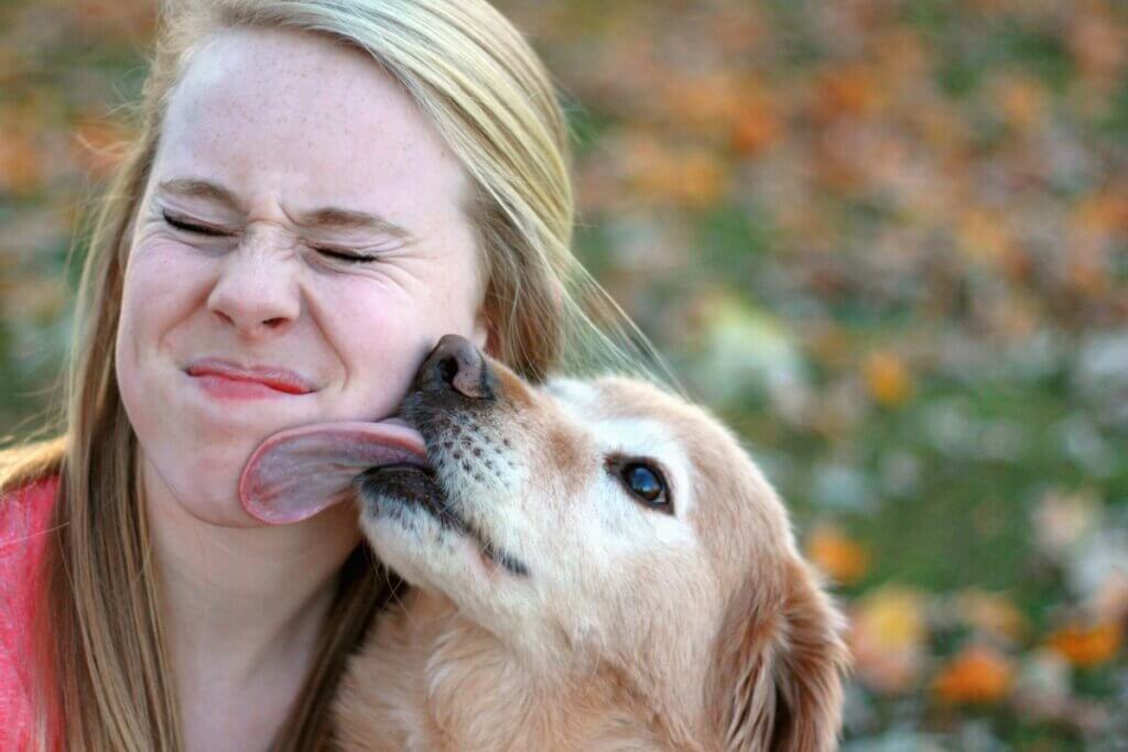 Como os cães cumprimentam?