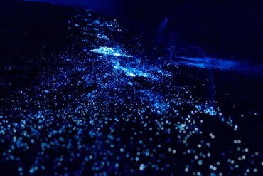 Presença de plâncton e algas bioluminescentes nas costas