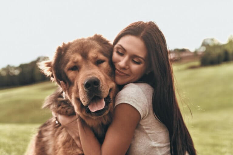 13 sinais de que você é um amante de cães