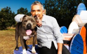 César Millán, o treinador de cães investigado
