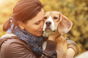 Seu cão realmente quer ajudar quando você está chateado