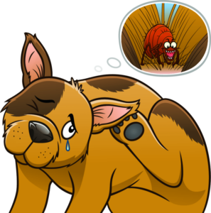 4 soluções caseiras para eliminar as pulgas do seu amado pet