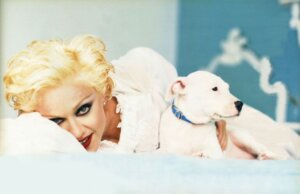 A cadela da Madonna e outros cachorros das cantoras mais famosas