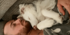 Homem cria sistema para se comunicar com sua cadela que tem uma condição especial e move o mundo