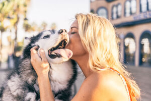 É assim que os superestímulos afetam os animais