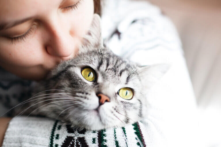 Você sabe a idade aproximada do seu gato?