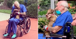 Cachorrinha reencontra seu papai depois de salvar sua vida