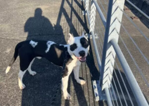 Ele pensou que havia perdido sua família e quando a encontra não consegue conter a emoção