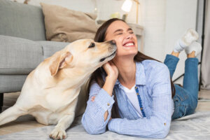 Não há nada que traga mais emoção do que chegar em casa e ser recebido com todo o amor pelo seu pet