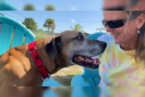 Ele esperou 8 anos em um abrigo para finalmente ser adotado