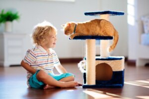 Ajuda! Meu gato está com ciúmes do meu bebê?
