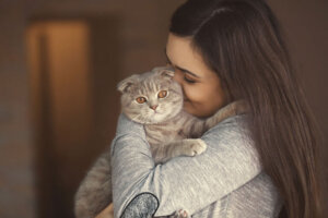 De acordo com um estudo, os gatos memorizam o rosto e o nome de seus tutores