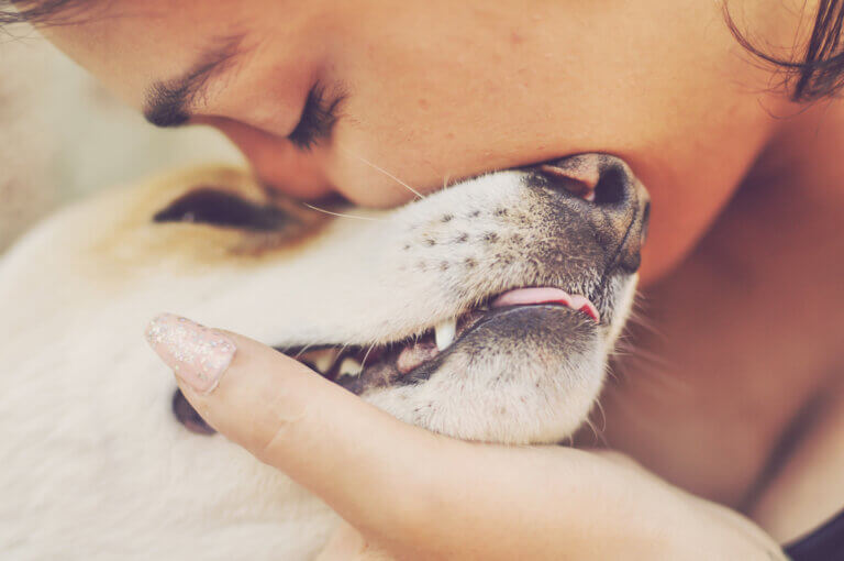 Tudo bem beijar animais de estimação na boca?