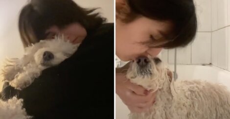 “Cada dia dói menos e sinto mais a sua falta”, despedida emocionada que uma jovem fez à sua cadela