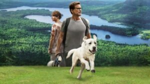 Dog Gone: Aprenda a história comovente por trás do filme