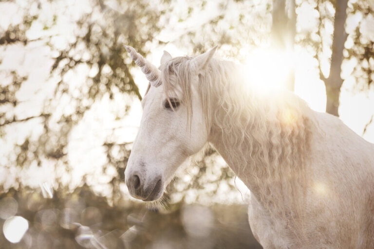 O unicórnio: três animais que inspiraram este fantástico mito