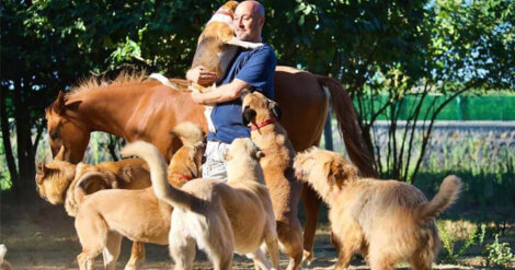 Apoio incondicional! Amante de animais transformou sua fazenda em um santuário para anjos necessitados