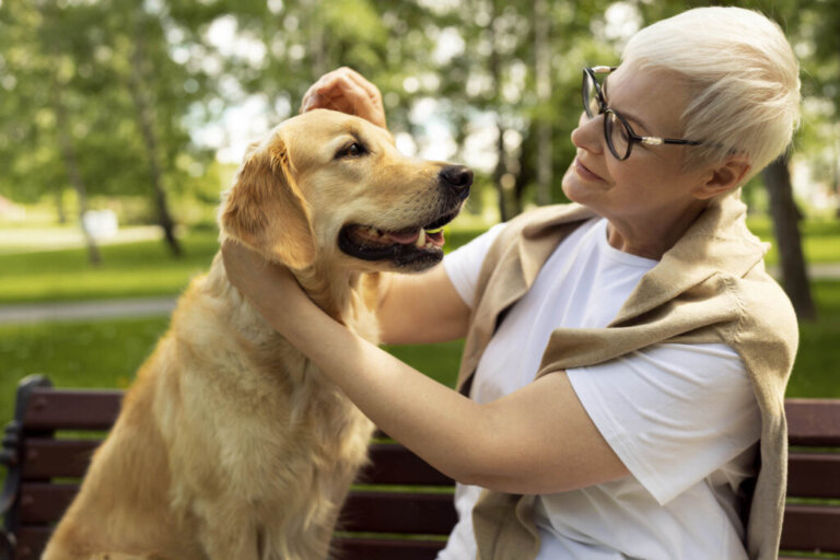 Como descobrir a idade de um cachorro sem saber o dia de nascimento?