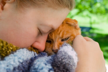 Os gatos se despedem antes de morrer? Sinais do último adeus