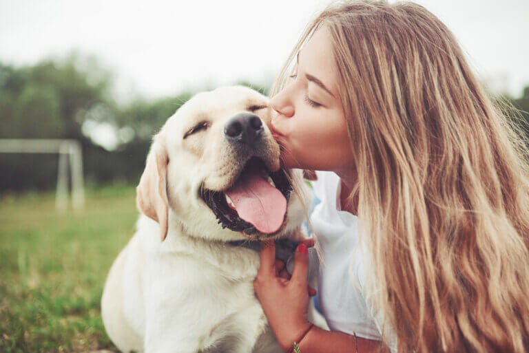 As frases mais famosas sobre o amor pelos animais: um exemplo de ternura e conexão