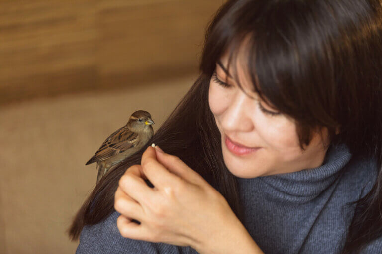 Você sabia que os pardais reconhecem as pessoas?
